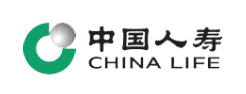 Partner 45