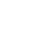 Wechat icon
